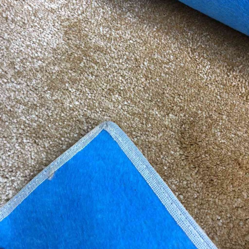 موكيت 40 ساده بيج