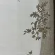 سجاد اناقة تركي SRC25A كريم مقاس 50*80