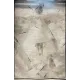 سجاد تركي برل 42816A كريم اسود مقاس 50*80 سجاد تركي برل 42816A كريم اسود مقاس 50*80 - سجاد مودرن