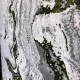 سجاد تركي نيو انتيك 6050 اخضر