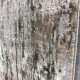 سجاد تركي صقيل 386 بيج اخضر