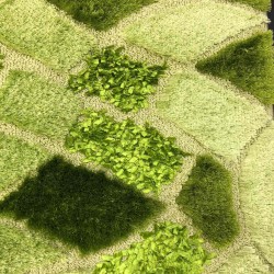 حرير شاغي لميس ونور اخضر حرير شاغي لميس ونور اخضر