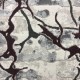 سجاد تركي دامسك 36892 موف
