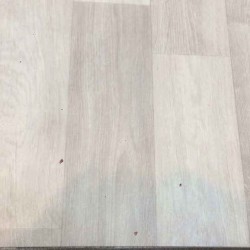 فينيل بلجيكي 142