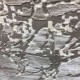 سجاد تركي جودي رصاصي