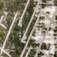 سجاد بلغاري مالا 01727 زيتي