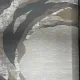 سجاد تركي المصممين لمسة HC32A كريم رصاصي مقاس 50*80