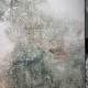 سجاد الفن تركي D0651A تيرا مقاس 250*350
